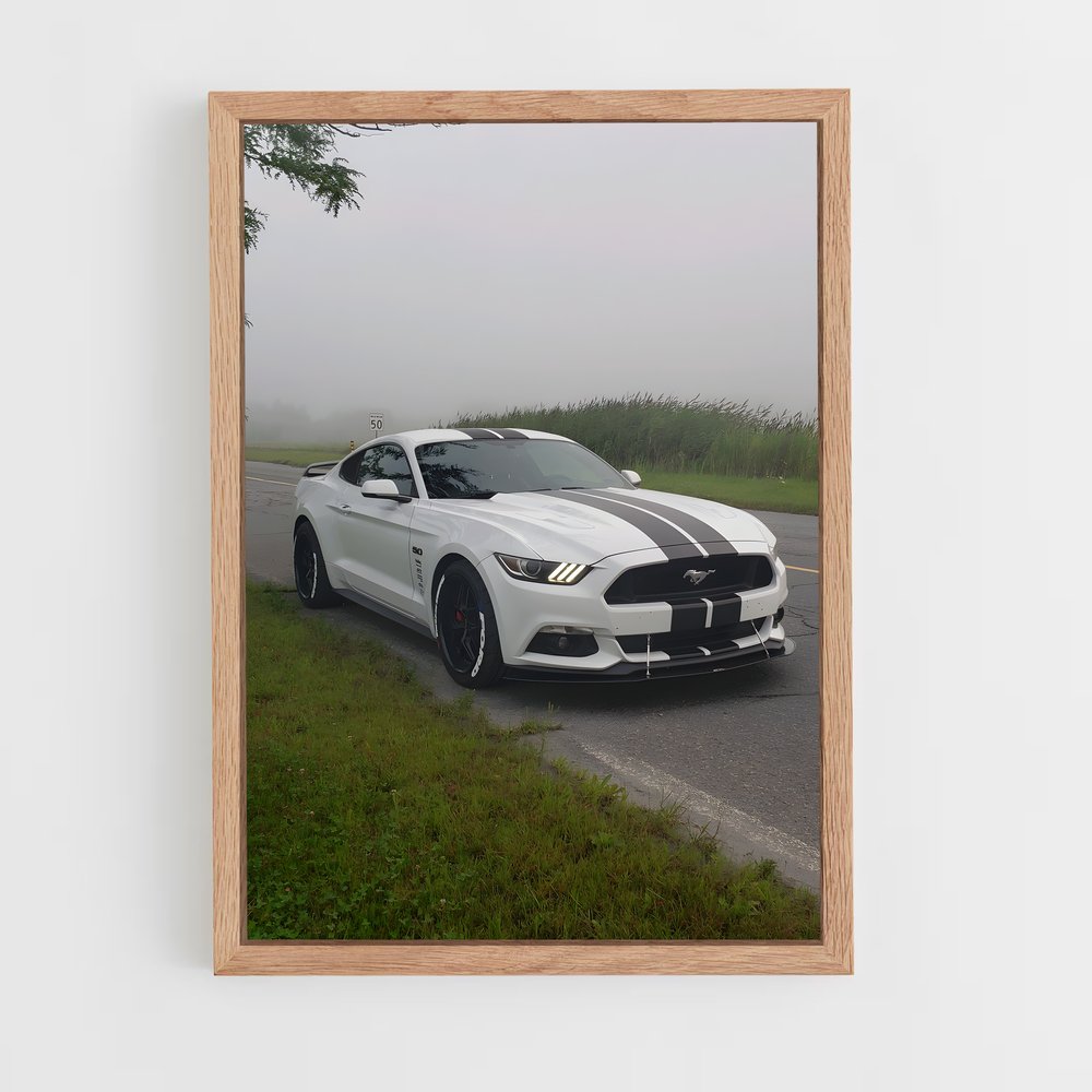 Poster Mustang Mythique – affiche Shelby (vue 4)
